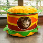 Descubre los 10 mejores productos para gatos en 2023 y aprende cómo mejorar su salud, comodidad y bienestar diario. La cama para gatos.