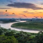 Dónde Está La Selva Amazónica