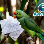 Documentos Legales Para Adoptar Y Criar Aves Exóticas