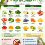 Nutre su vida fortalece su felicidad es mucho más que un bonito lema. Es la base fundamental para que tu cotorra disfrute de una existencia plena, activa y llena de vitalidad.