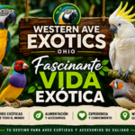 Fascinante Vida Exótica Western Ave Exotics Ohio