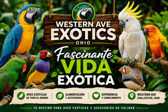 Fascinante Vida Exótica Western Ave Exotics Ohio Fascinante Vida Exótica Western Ave Exotics Ohio